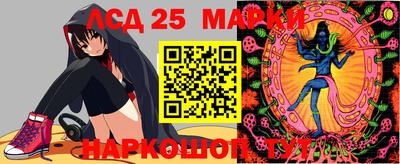 apvp Моздок