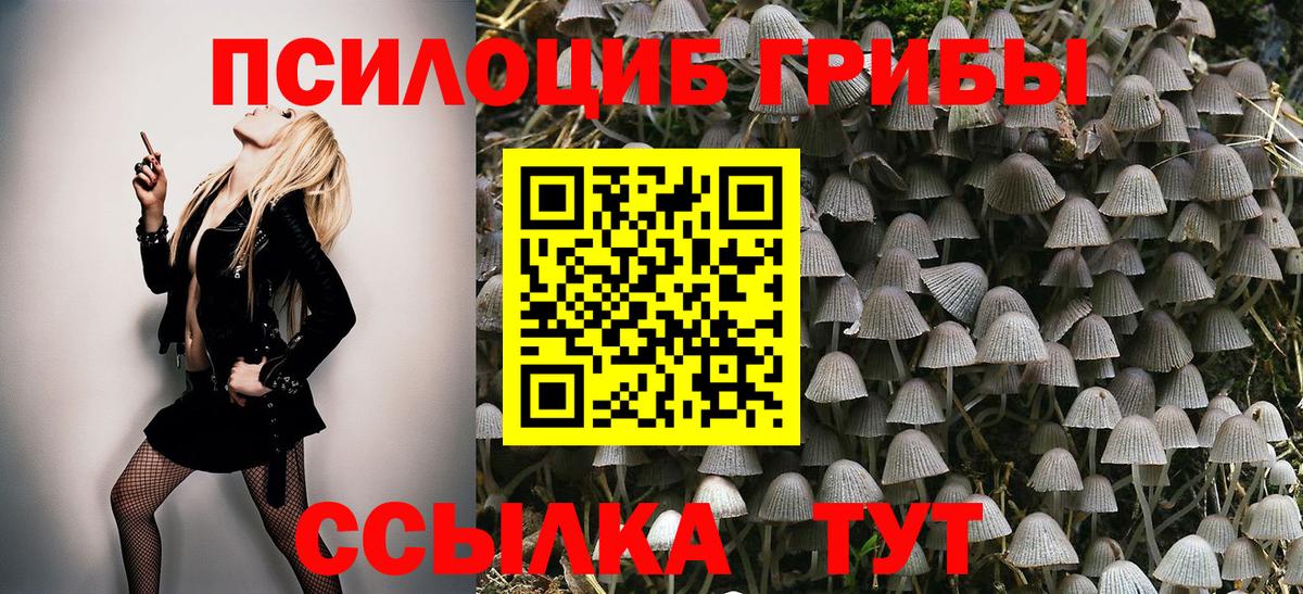 Галлюциногенные грибы MAGIC MUSHROOMS Якутск