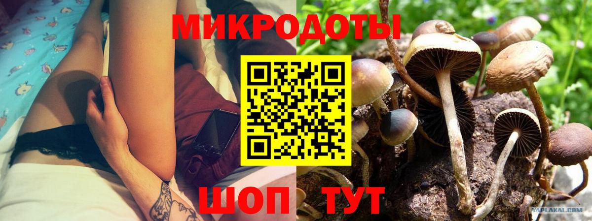 Якутск  Галлюциногенные грибы Psilocybe  как найти закладки  Вход с VPN 